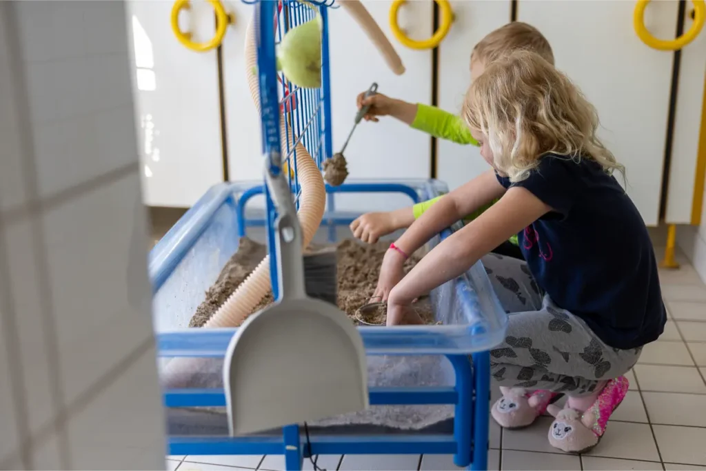 AWO Goldenes Schlüsselchen (17)