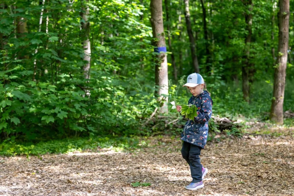 AWO Kita Mooswichtel (22)