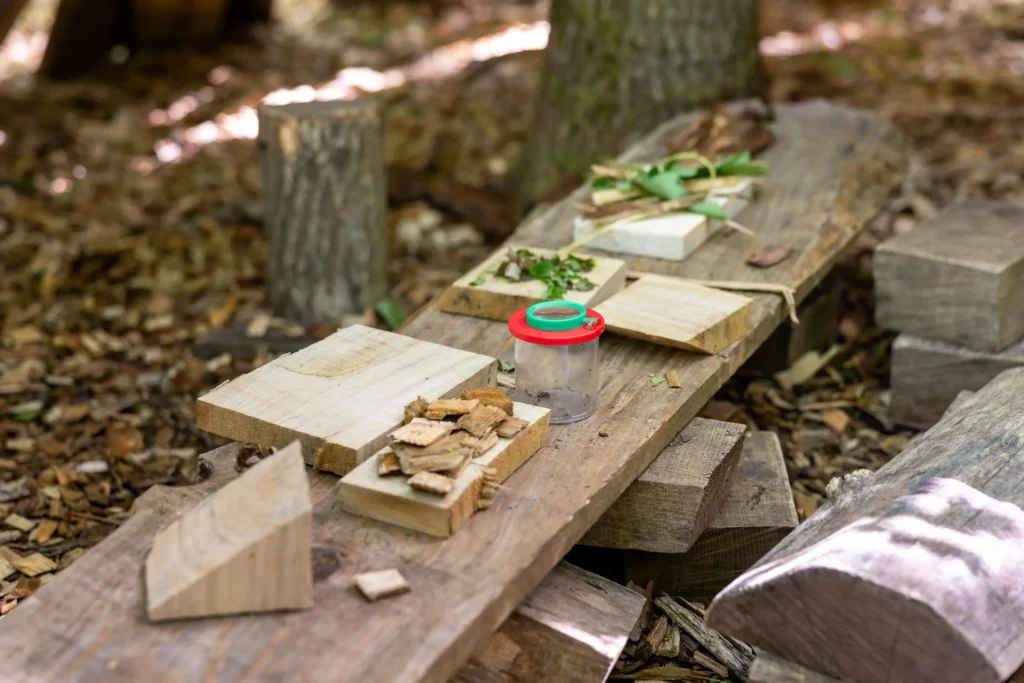 AWO Kita Mooswichtel (25)