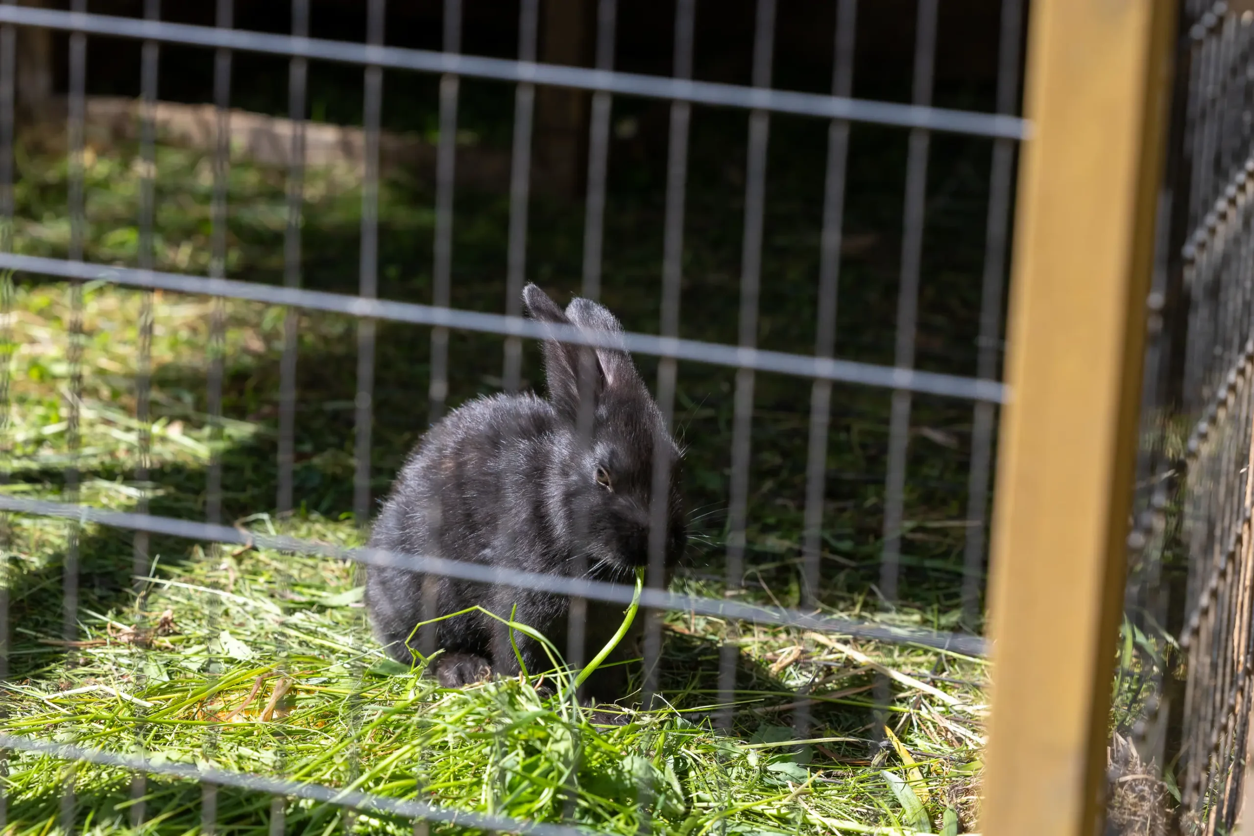 Pflegeheim am Rosarium (14)